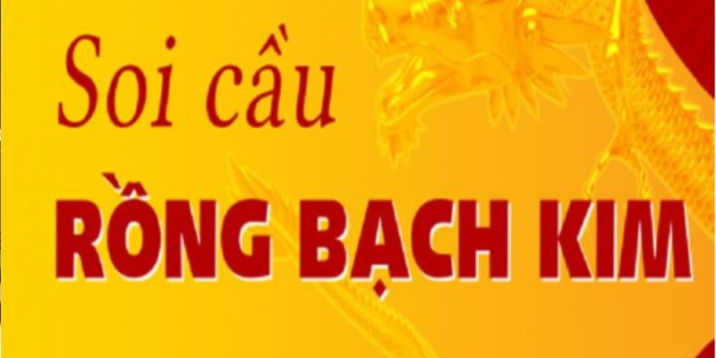 Hướng dẫn cách áp dụng hiệu quả