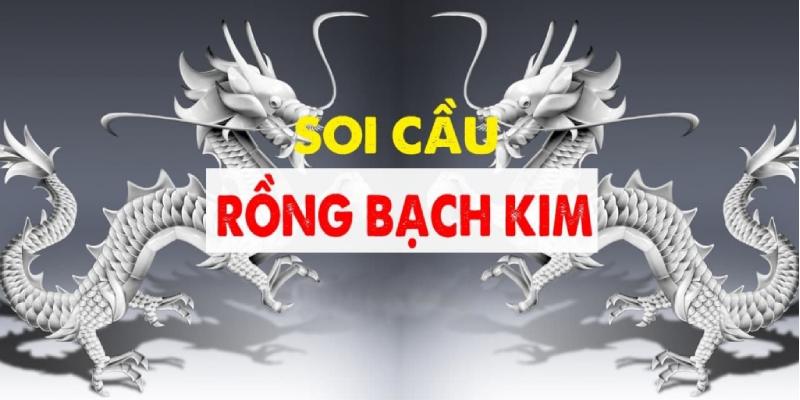 Tìm hiểu soi cầu rồng bạch kim